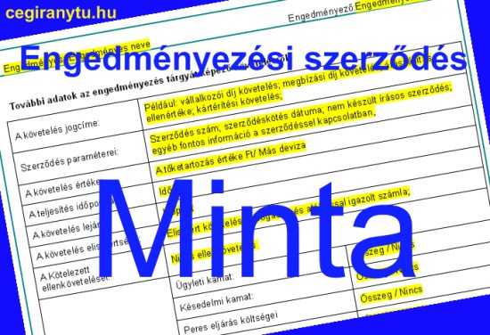 Engedm�nyez�si szerz�d�s minta